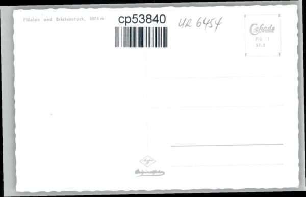 Flueelen UR Flüelen Bristenstock – Bild 2
