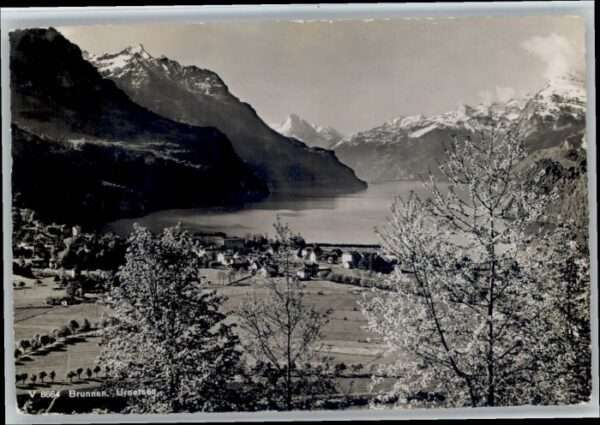 Brunnen SZ Urnersee
