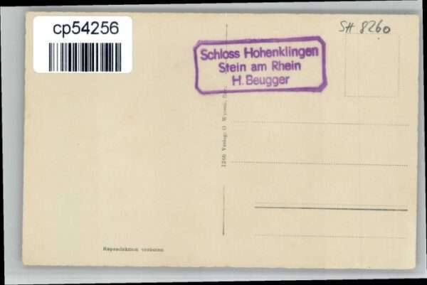 Stein Rhein Fliegeraufnahme Schloss Hohenklingen – Bild 2