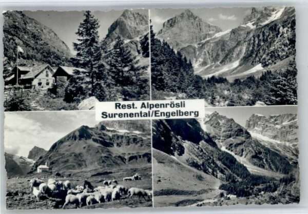 Engelberg OW Engelberg Restaurant Alprösli Surenenta