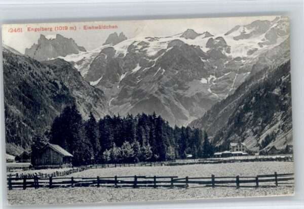 Engelberg OW Engelberg Eienwäldchen