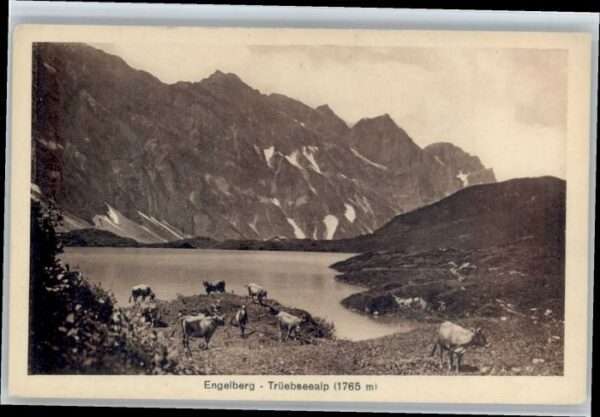 Engelberg OW Engelberg Trübseealp