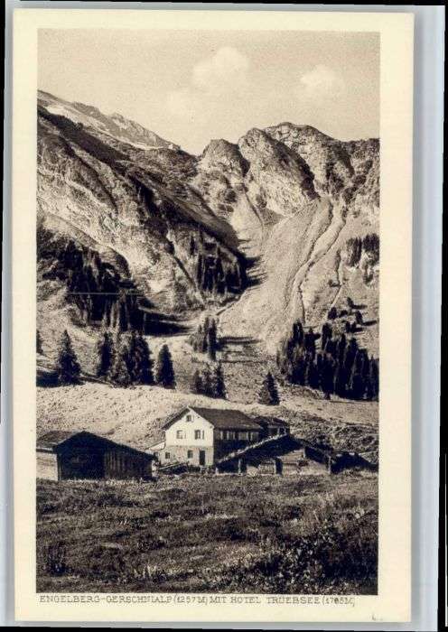 Engelberg OW Engelberg Gerschnialp Hotel Trübsee