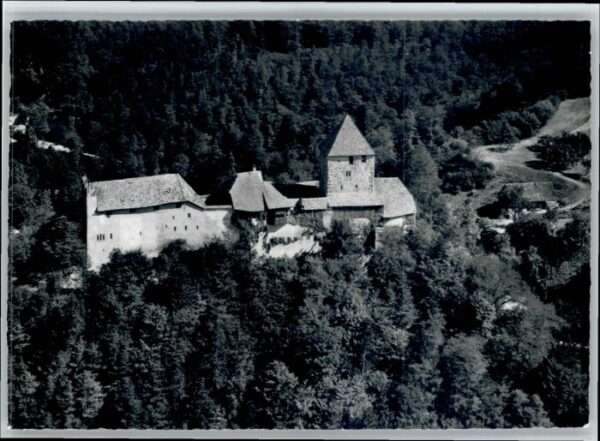 Stein Rhein Burg Hohenklingen Fliegeraufnahme