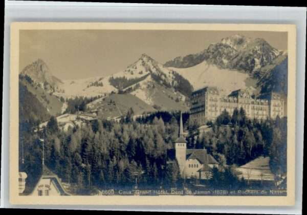 Rochers de Naye Caux Grand Hotel  Dent de Jaman