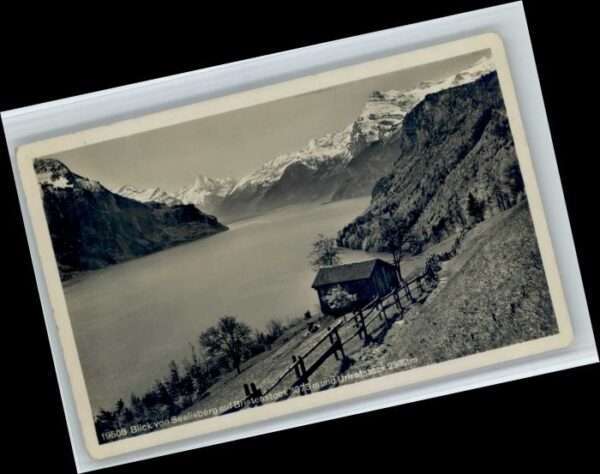 Seelisberg UR Seelisberg Bristenstock