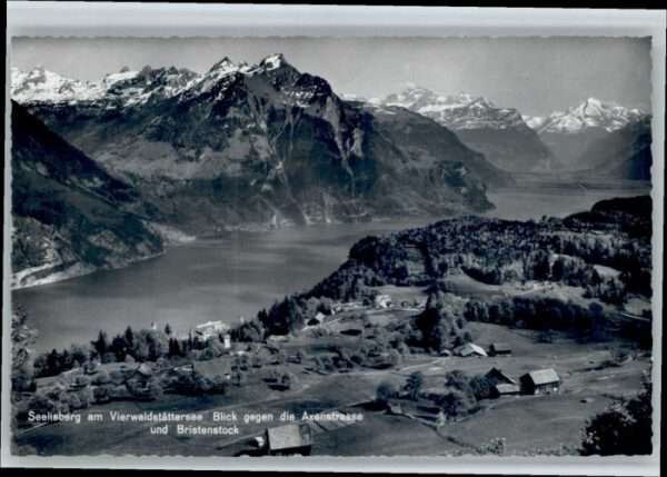 Seelisberg UR Seelisberg Axenstrasse Bristenstock