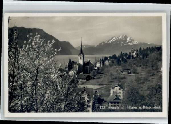Weggis Vierwaldstaettersee Weggis Pilatus Bürgenstock