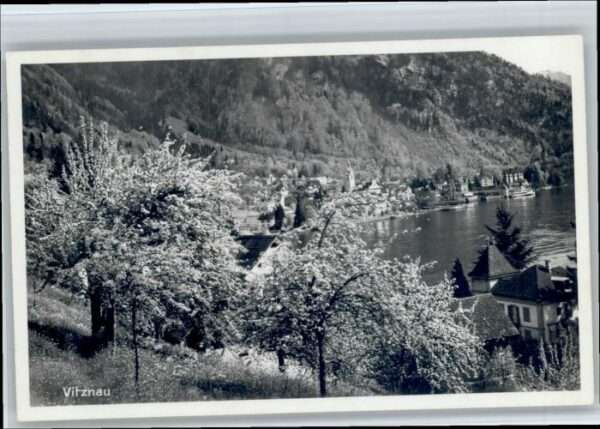 Vitznau