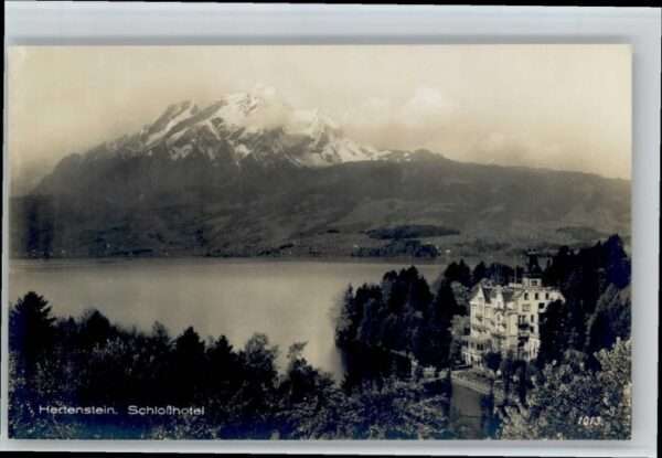 Hertenstein Schloss Hotel