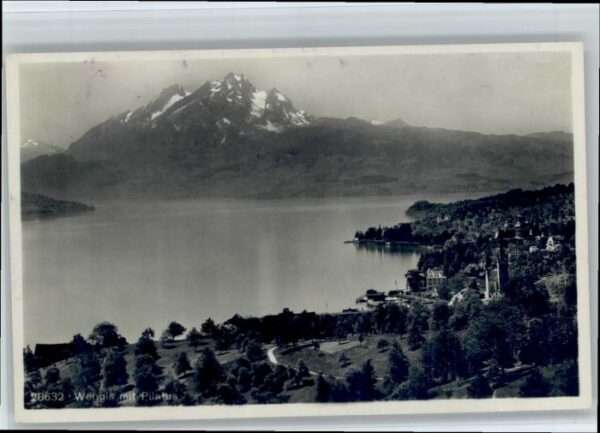 Weggis Vierwaldstaettersee Weggis Pilatus