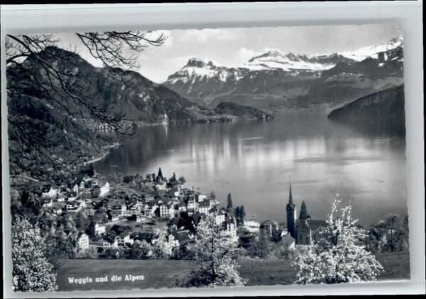Weggis Vierwaldstaettersee Weggis