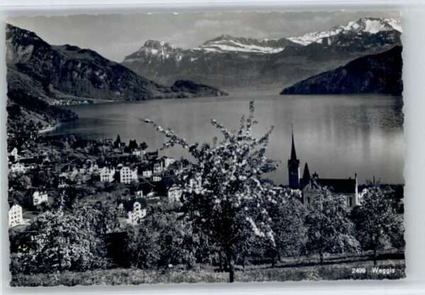 Weggis Vierwaldstaettersee Weggis