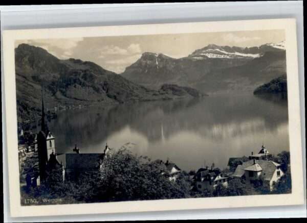 Weggis Vierwaldstaettersee Weggis