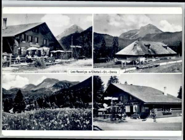 Chatel-St Denis Les Rosalys