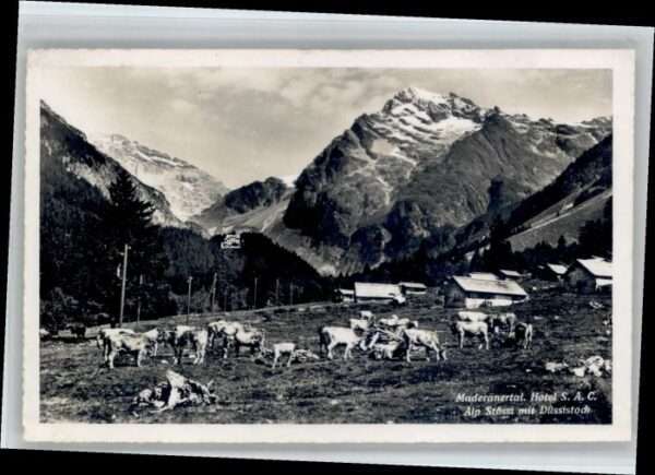 Amsteg ? Manderanertal Hotel
