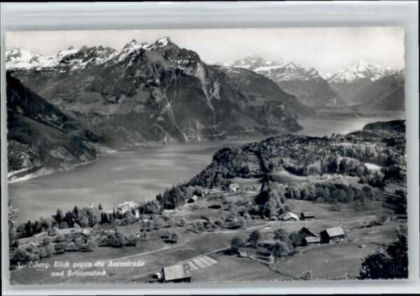 Seelisberg UR Seelisberg Axenstrasse Bristenstock