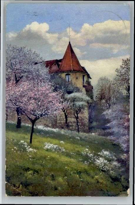 Neuhausen SH Laufen Rheinfall Schloss