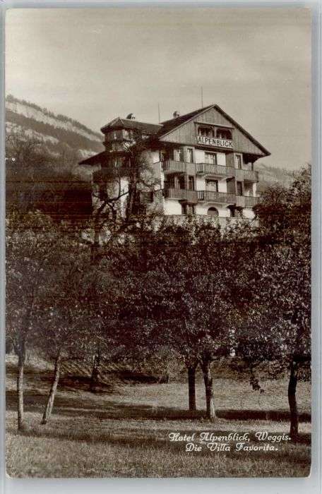 Weggis Vierwaldstaettersee Weggis Hotel Alpenblick