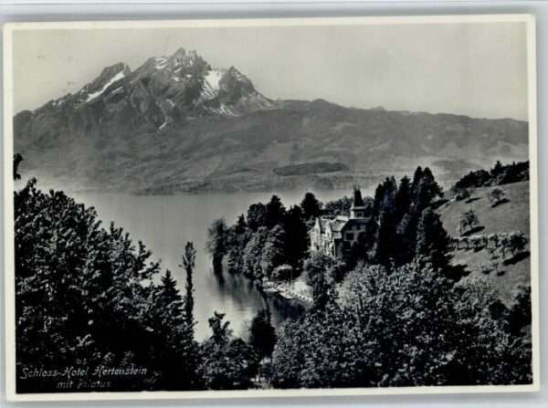 Hertenstein Schloss Hotel