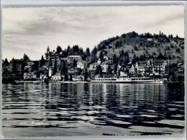 Weggis Vierwaldstaettersee Weggis