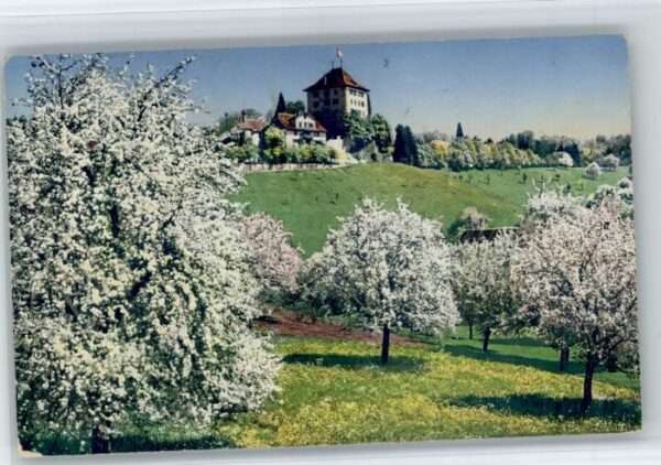 Gelfingen Schloss Heidegg