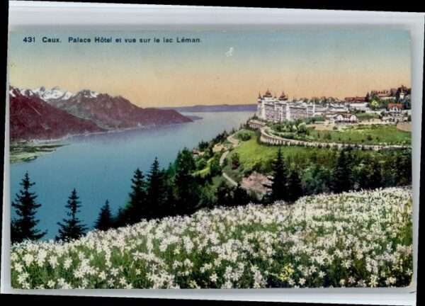 Caux VD Caux Palace Hotel
