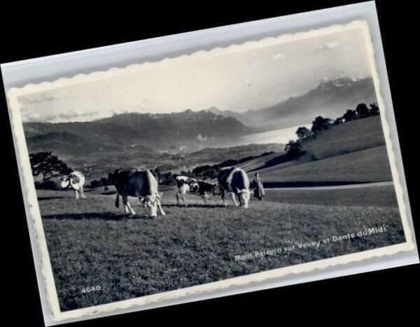 Mont Pelerin