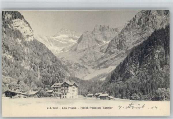 Les Plans-sur-Bex Les Plans Hotel Pension Tanner