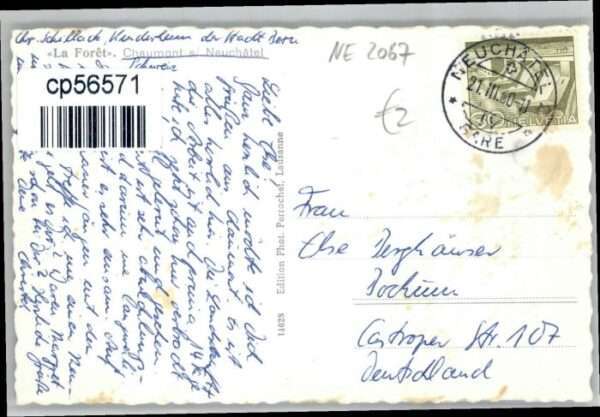 Neuchatel NE Neuchatel La Foret – Bild 2