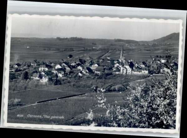Cressier NE