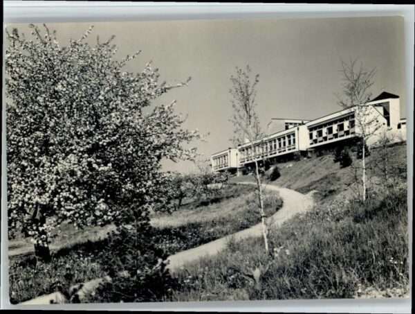 Delemont