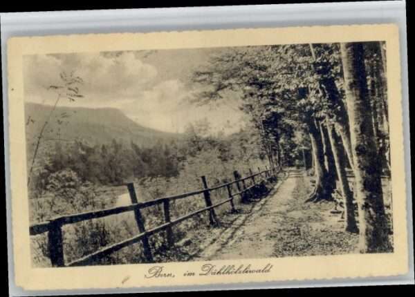 Bern BE Bern Dählhölzliwald x