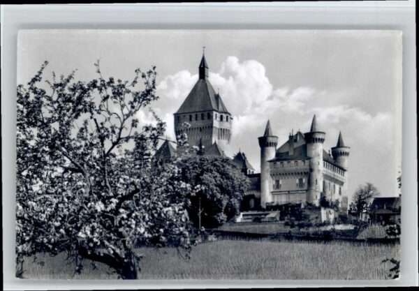 Versoix Schloss de Vufflens