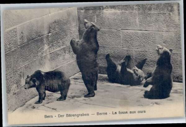 Bern BE Bern Bärengraben