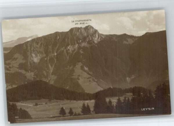 Leysin Le Chamossaire