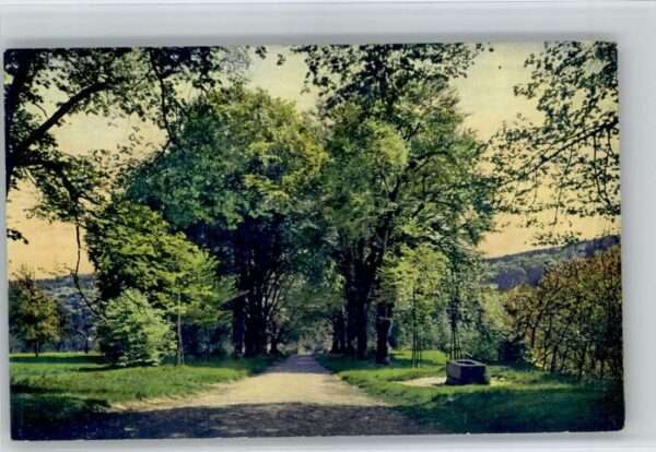 Zofingen Buchen Allee Heiternplatz