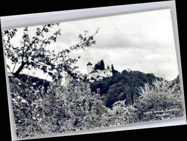 Arlesheim Schloss Birseck