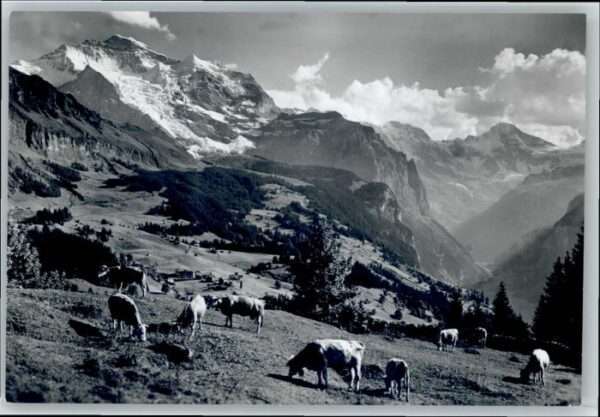 Wengen BE Wengen