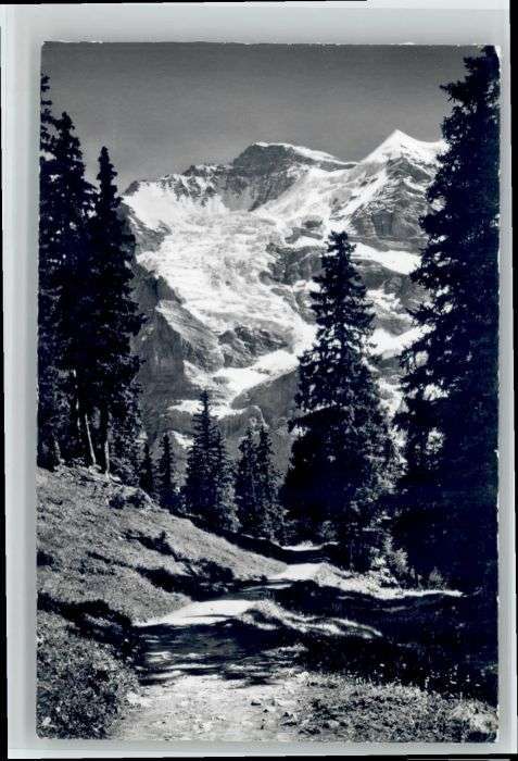 Wengen BE Wengen Mettlenalp Jungfrau