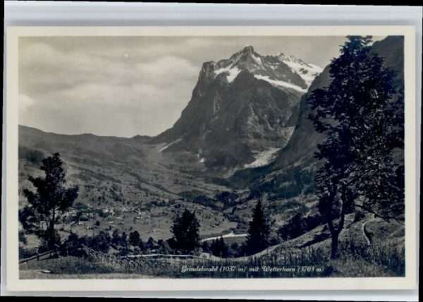 Grindelwald Wetterhorn