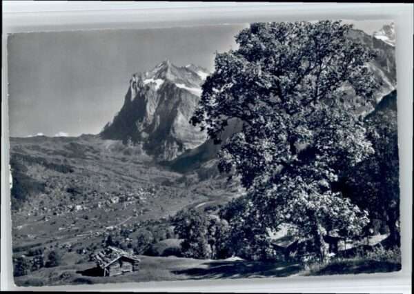Grindelwald Wetterhorn