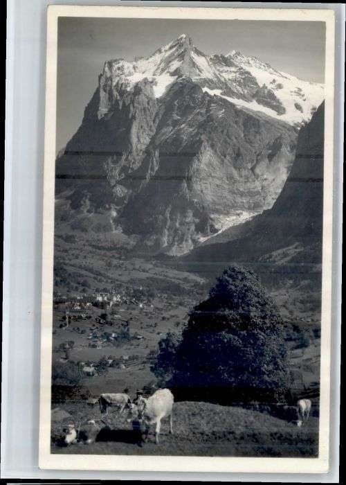 Grindelwald Wetterhorn