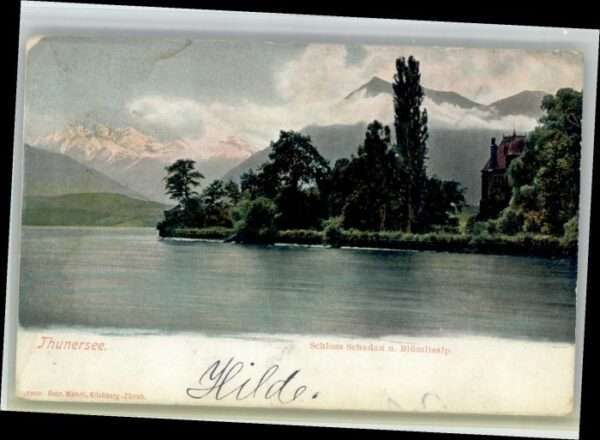 Thun Schloss Schadau Blümlisalp