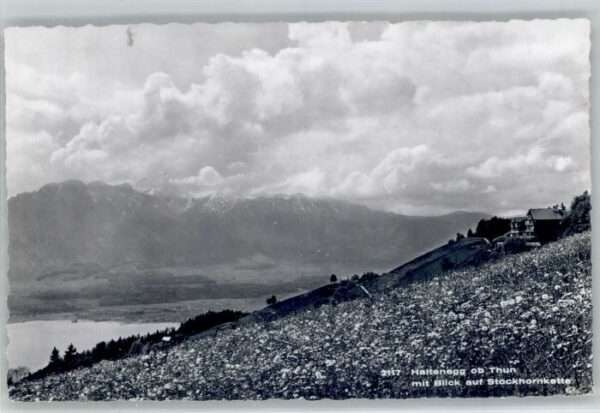 Thun Haltenegg