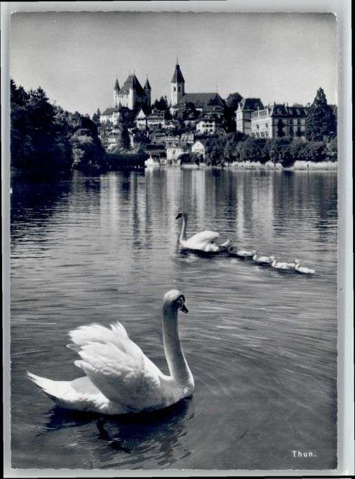 Thun