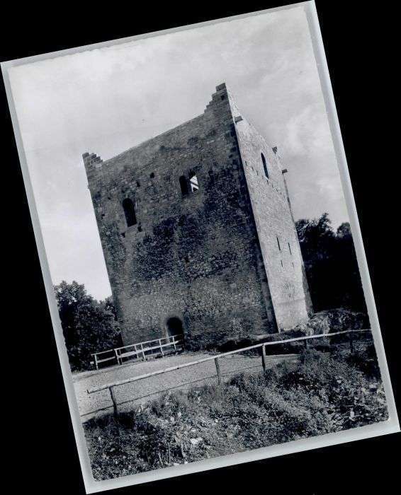 Muttenz Ruine Wartenberg