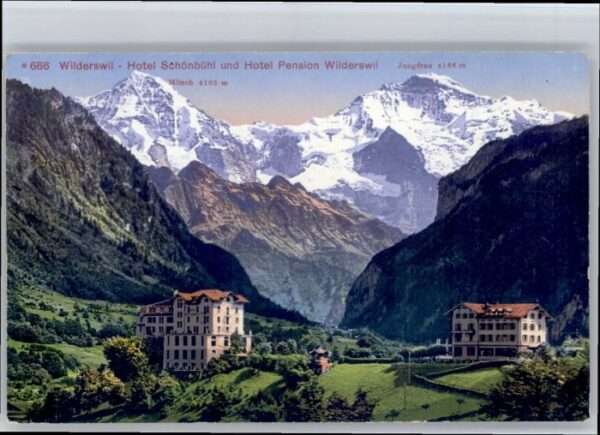 Wilderswil Hotel Schönbühl Hotel Pension Wilderswi