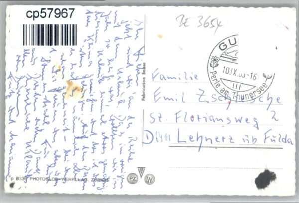Gunten Niesen – Bild 2