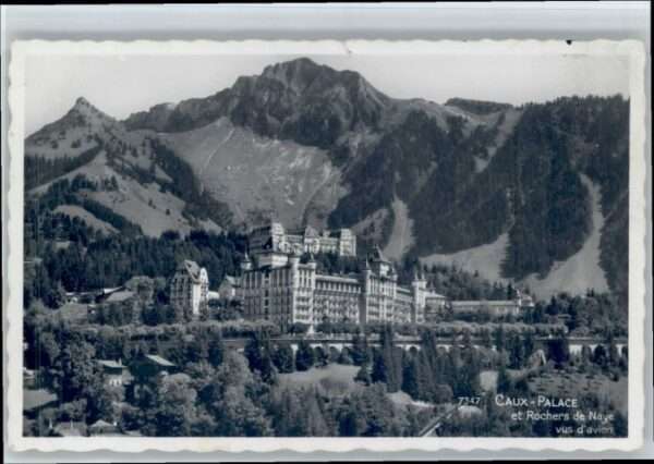 Rochers de Naye Caux Palace